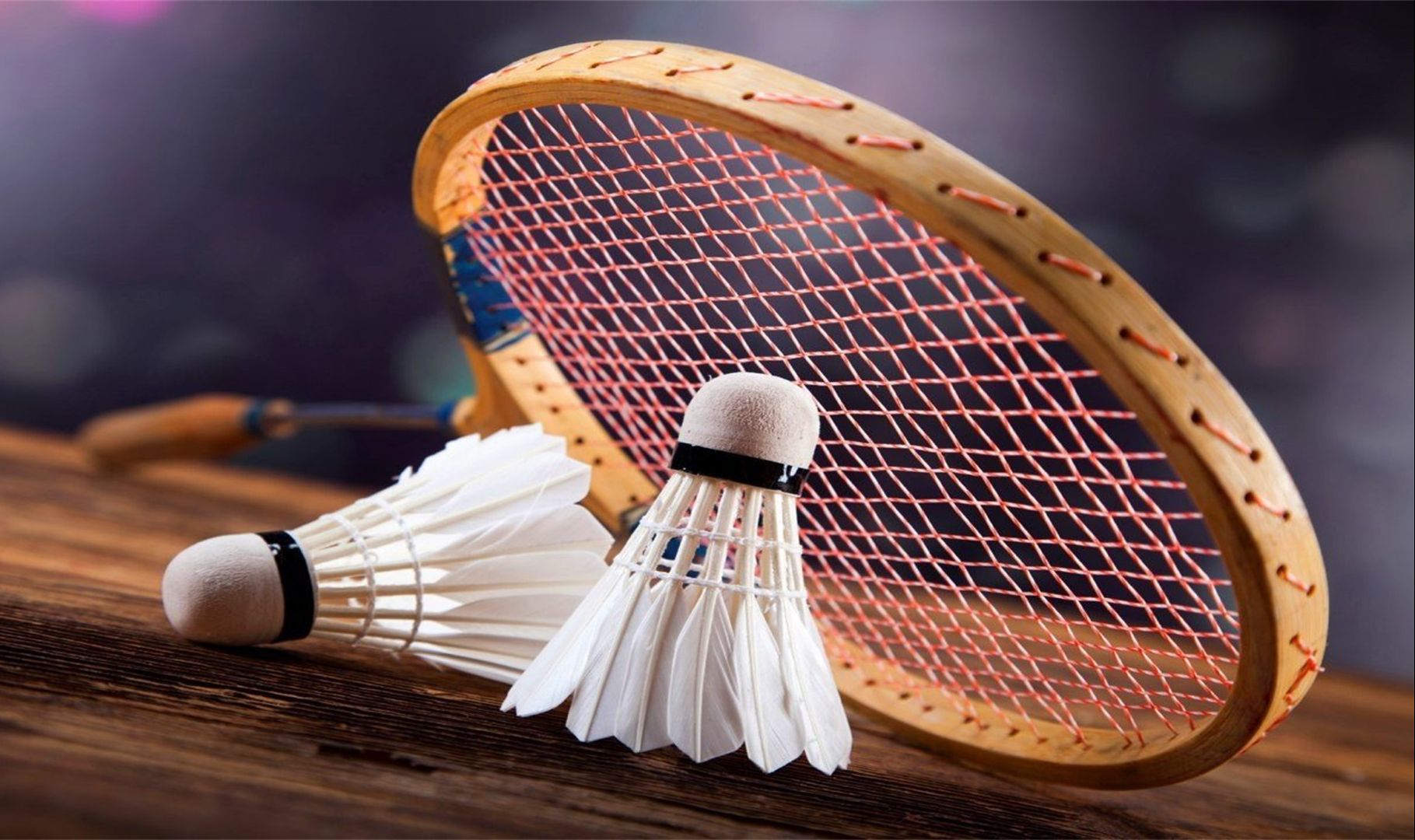 事的篮球迷 事的篮球迷